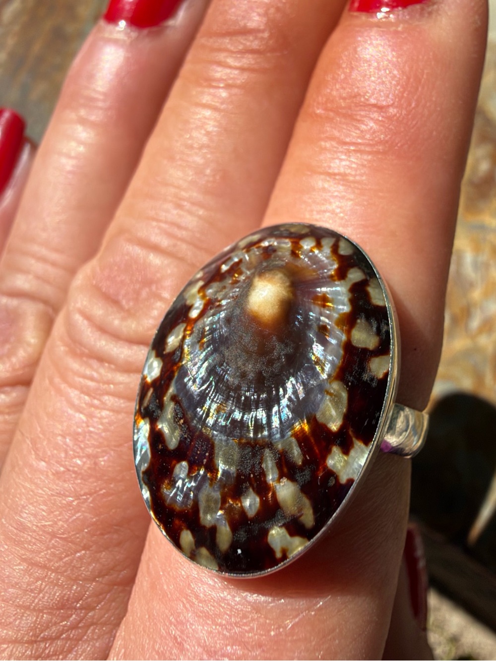 VINTAGE Handcrafted Solid Sterling Silver Limpet Shell Statement Ring